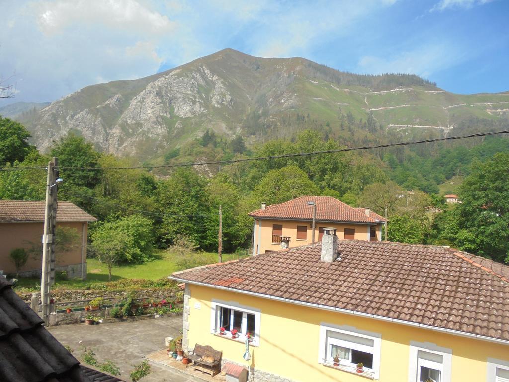 Pension La Barca Caño 外观 照片